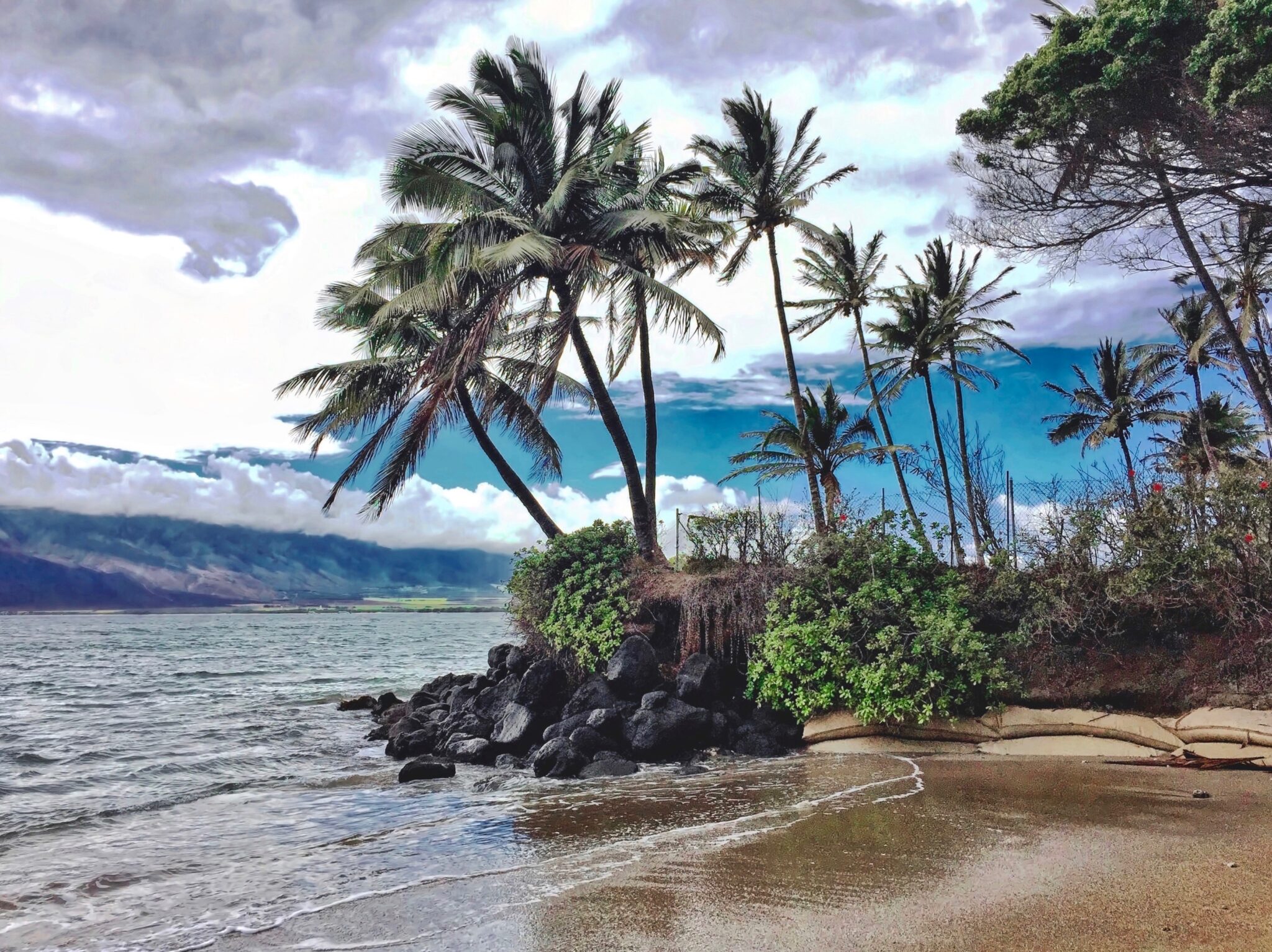 Maui Hotel Bookings
